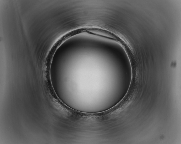 X0000100190926200805301244
