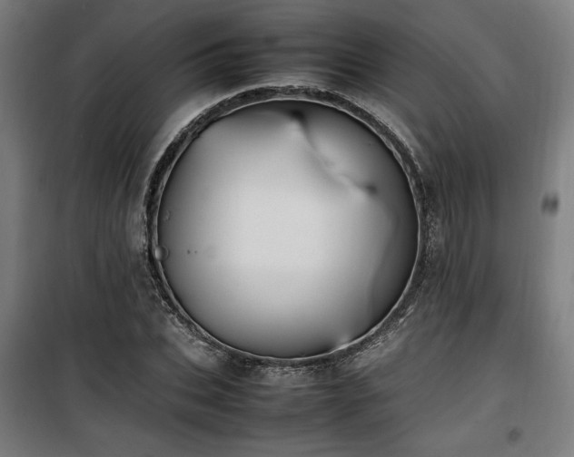 X0000100190927200805301244
