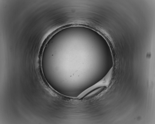 X0000100190928200805301244