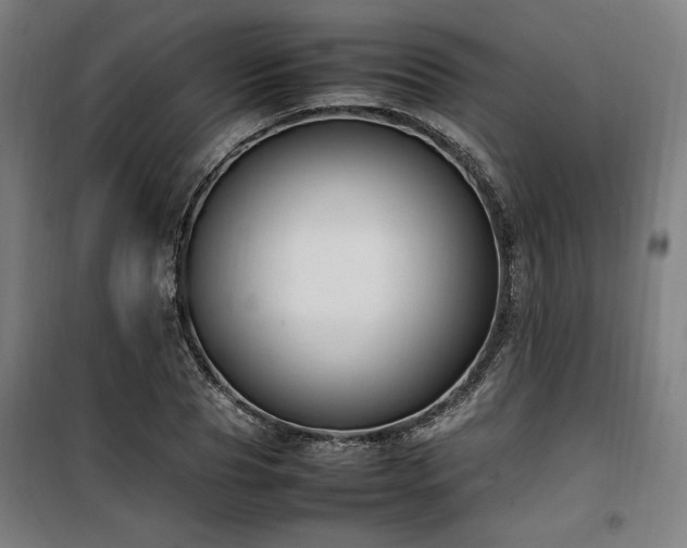 X0000100190929200805301244
