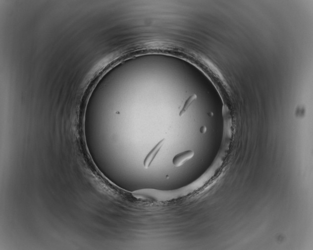 X0000100190930200805301244