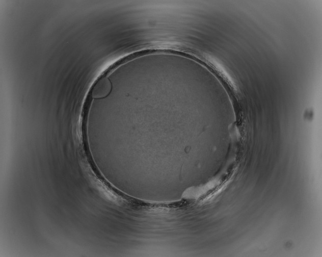 X0000100190932200805301244