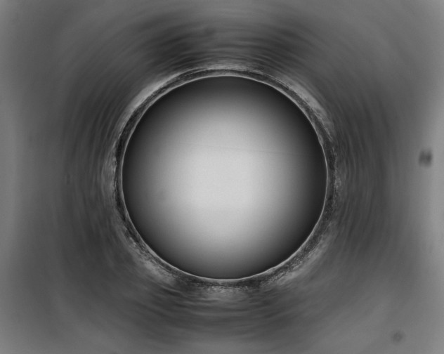 X0000100190933200805301244