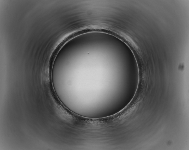 X0000100190934200805301244
