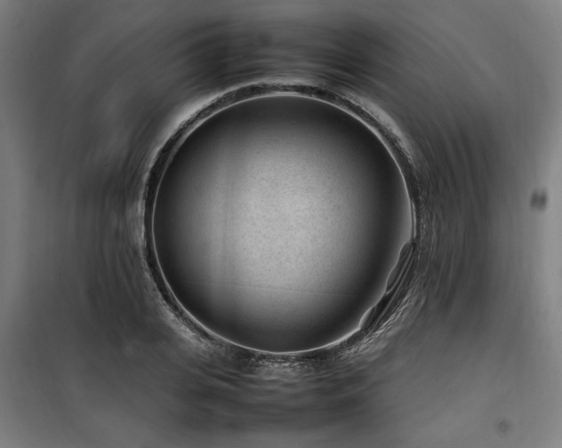 X0000100190935200805301244