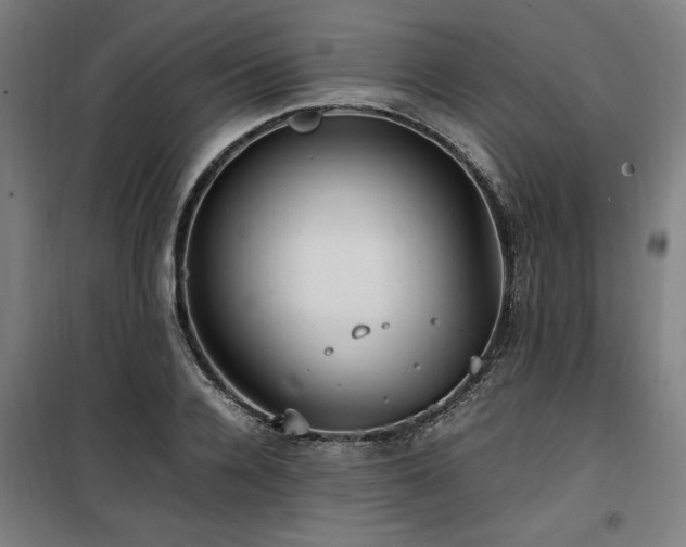X0000100190936200805301244