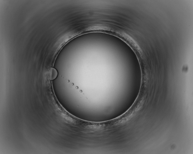 X0000100190937200805301244