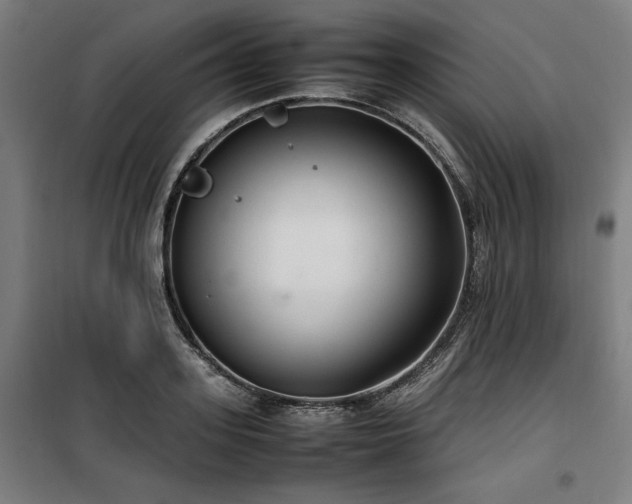 X0000100190939200805301244