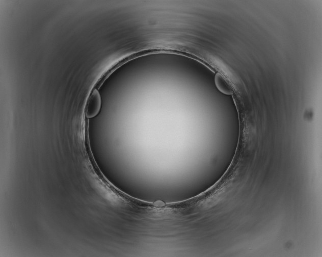 X0000100190940200805301244