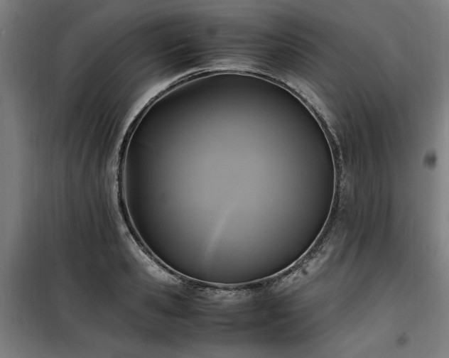X0000100190941200805301244