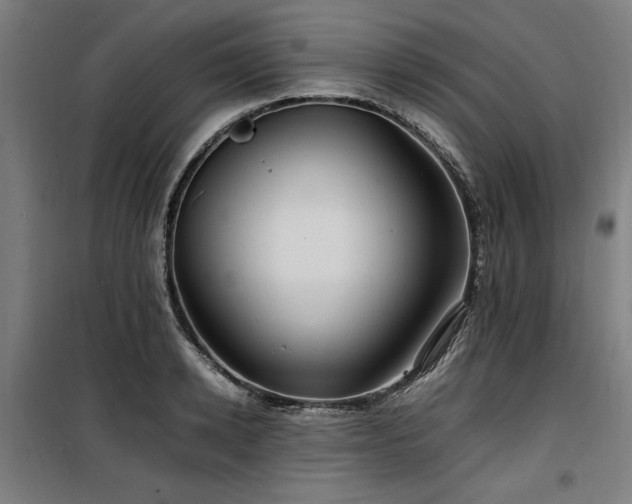 X0000100190942200805301244