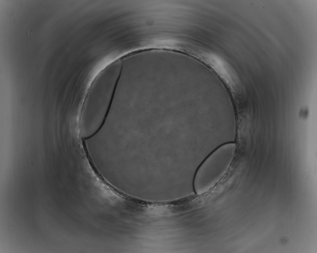X0000100190944200805301244