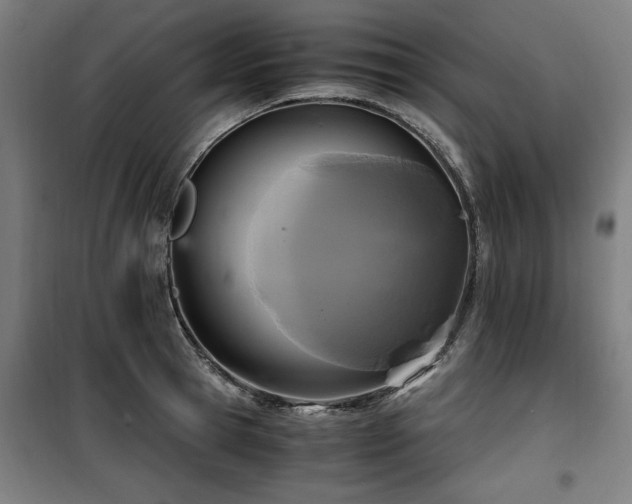 X0000100190945200805301244