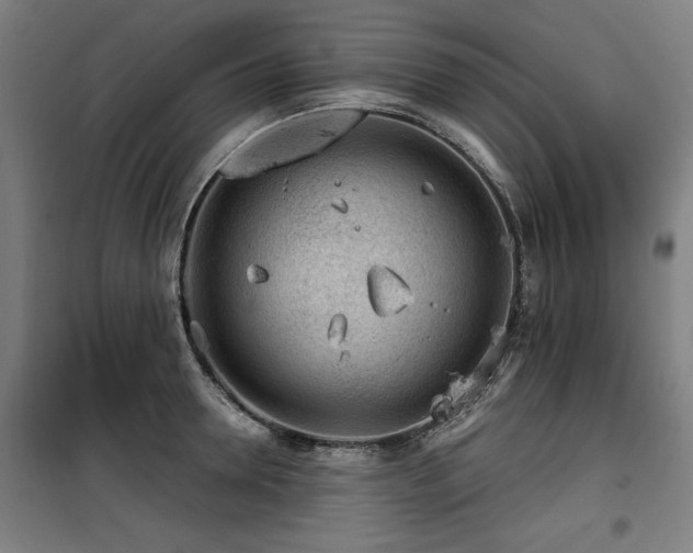 X0000100190946200805301244