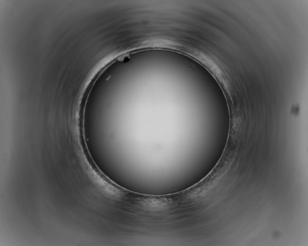 X0000100190947200805301244