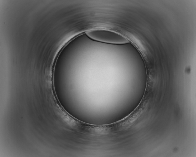 X0000100190948200805301244