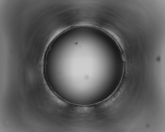 X0000100190949200805301244
