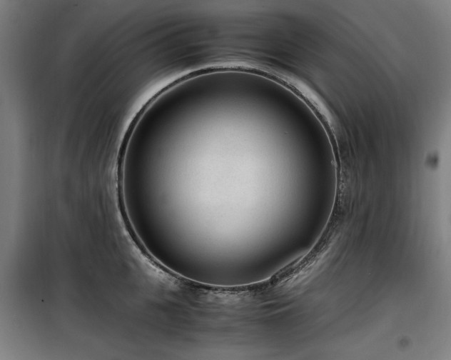 X0000100190951200805301244