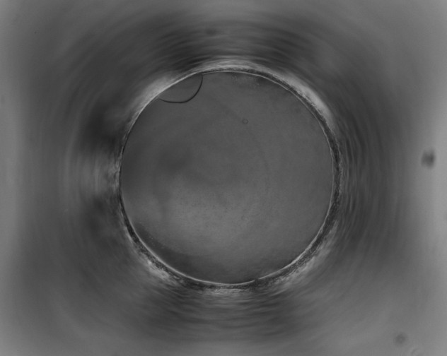 X0000100190953200805301244