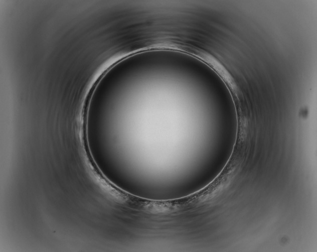 X0000100190955200805301244