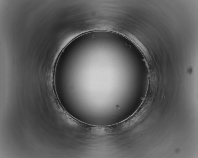 X0000100190956200805301244