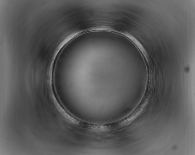X0000100190957200805301244