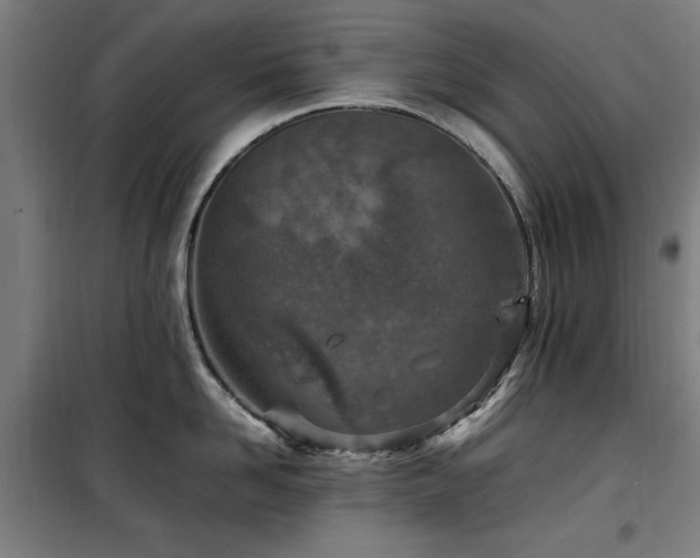 X0000100190958200805301244