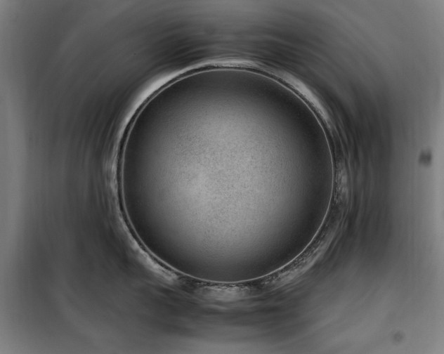 X0000100190959200805301244