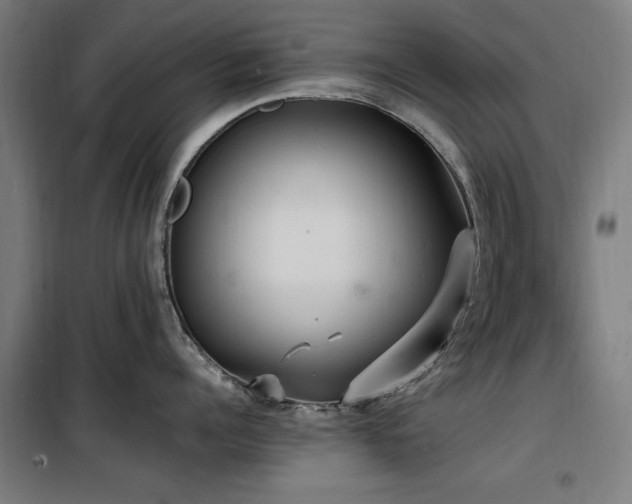 X0000100190960200805301244