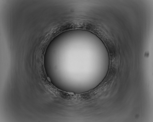 X0000100190961200805301244