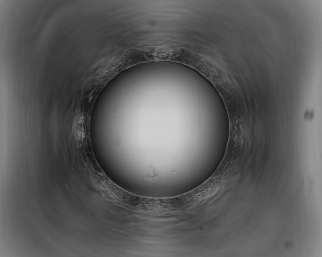 X0000100190962200805301244