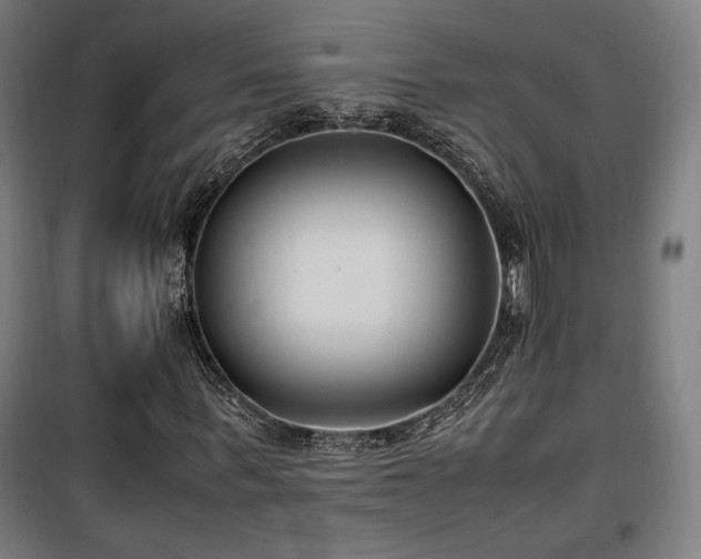 X0000100190963200805301244