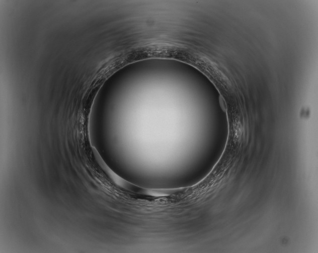 X0000100190964200805301244