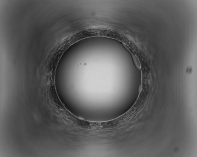 X0000100190965200805301244