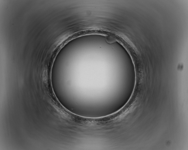 X0000100190969200805301243