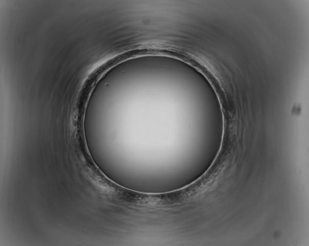 X0000100190971200805301243