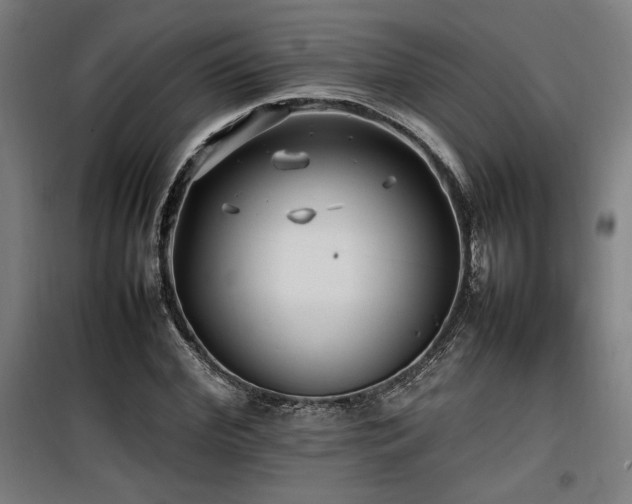 X0000100190972200805301243