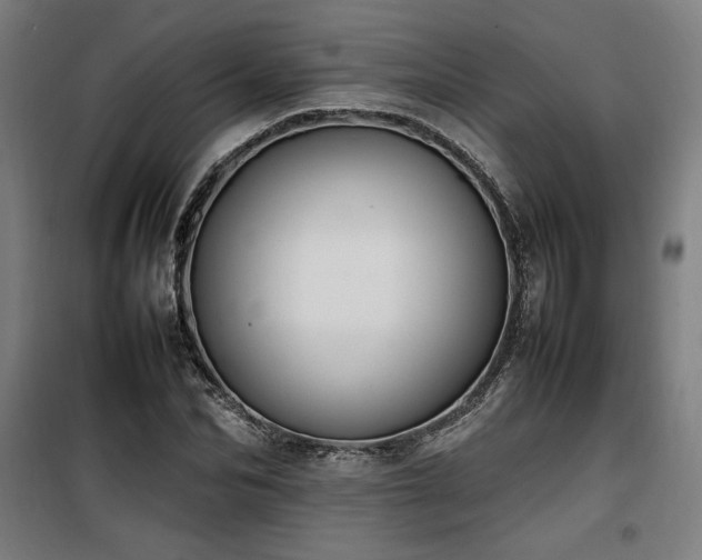 X0000100190974200805301243