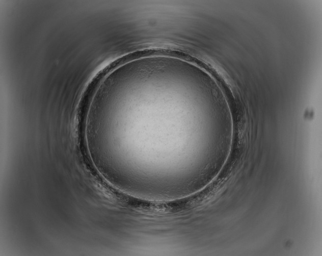 X0000100190975200805301243