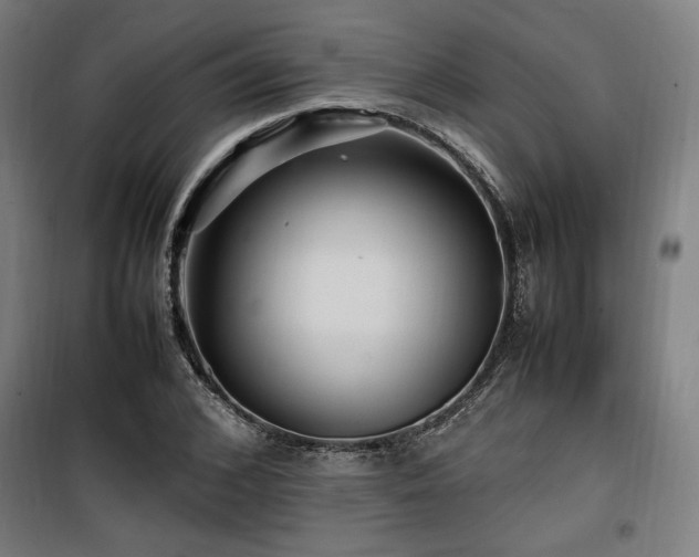 X0000100190976200805301243