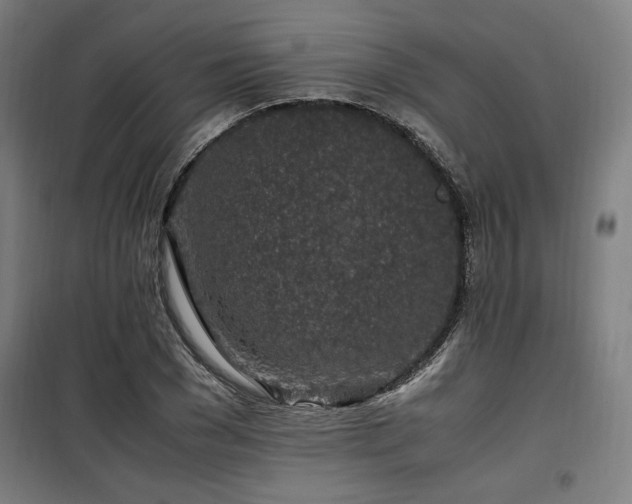 X0000100190977200805301243