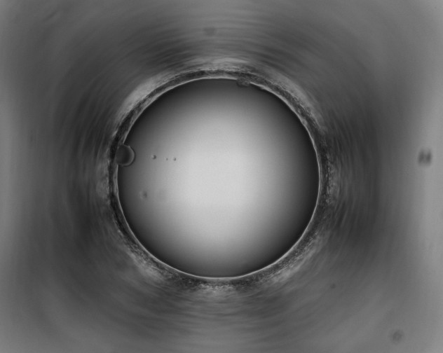 X0000100190978200805301243