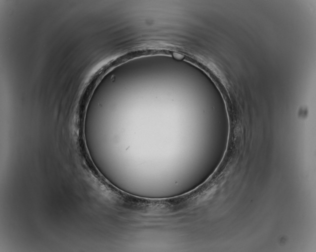 X0000100190979200805301243