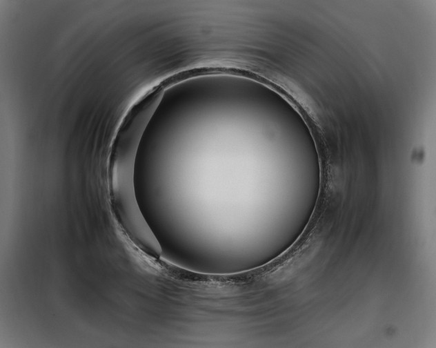 X0000100190980200805301243