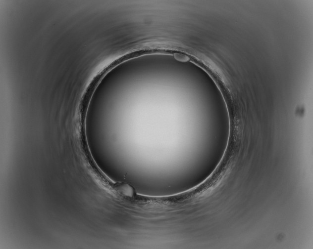 X0000100190981200805301243