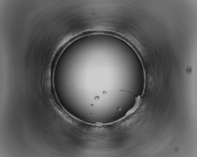 X0000100190982200805301243