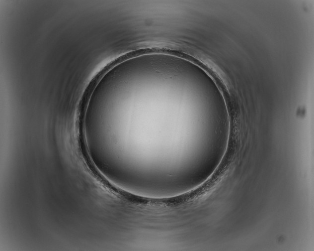 X0000100190983200805301243