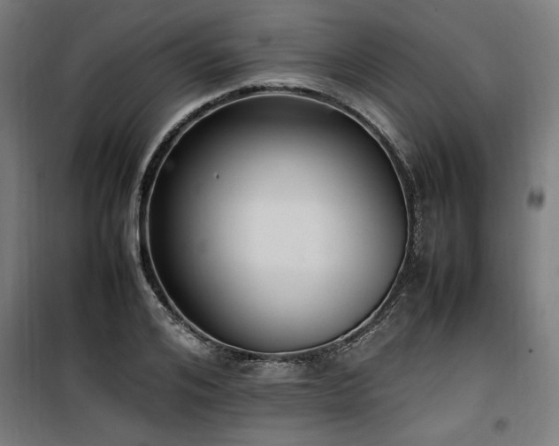 X0000100190984200805301243