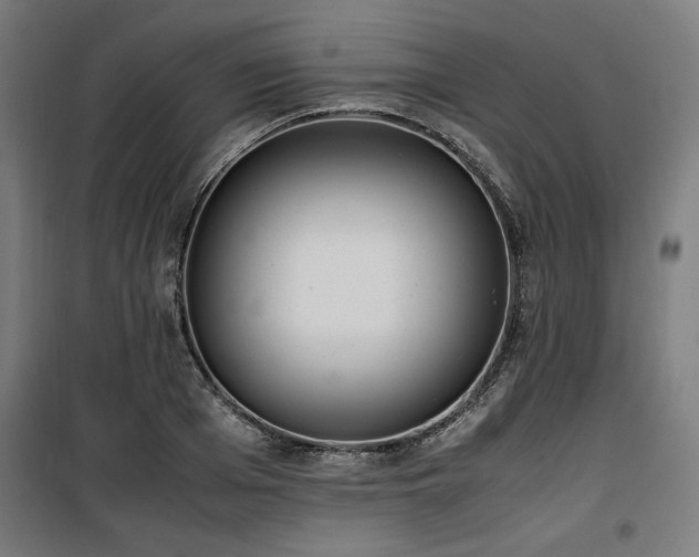 X0000100190985200805301243