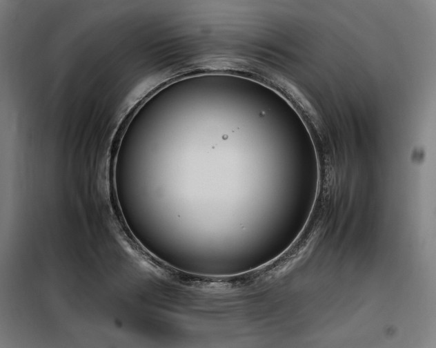 X0000100190986200805301243